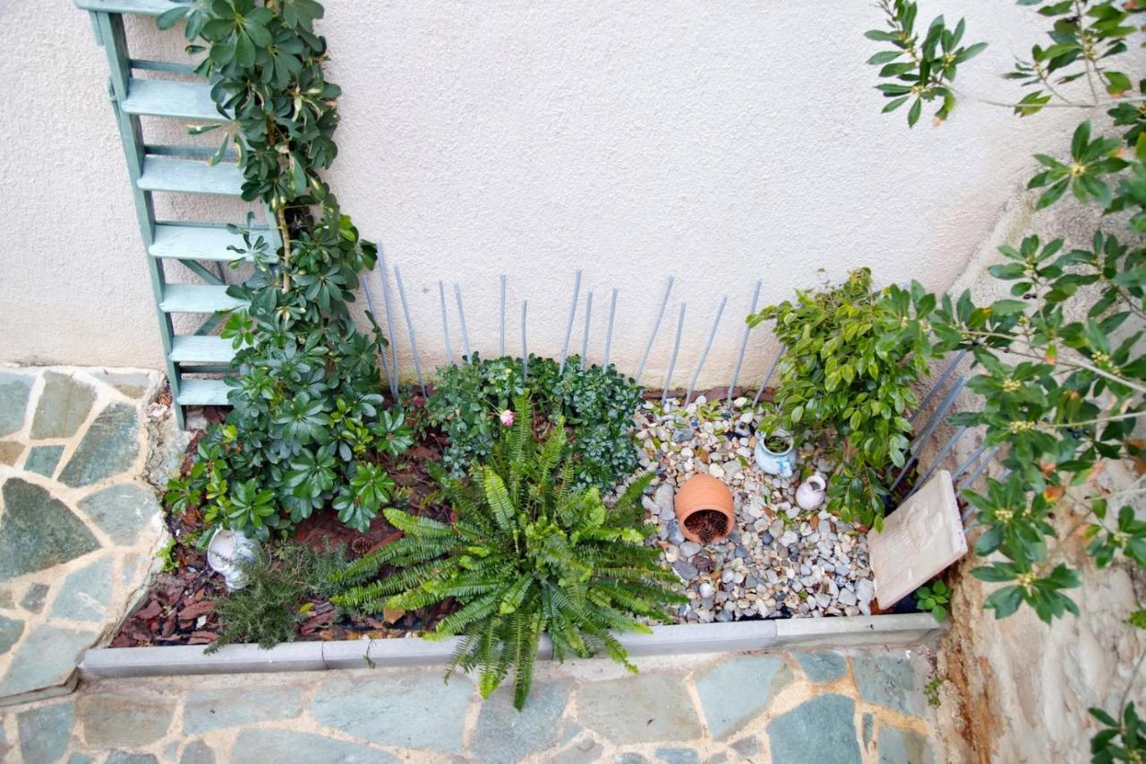 Aroura Homes Garden House 2Br 2Ba Free Parking Aten Exteriör bild